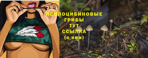 сатива Балабаново